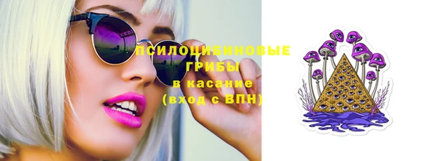 гидра Заводоуковск